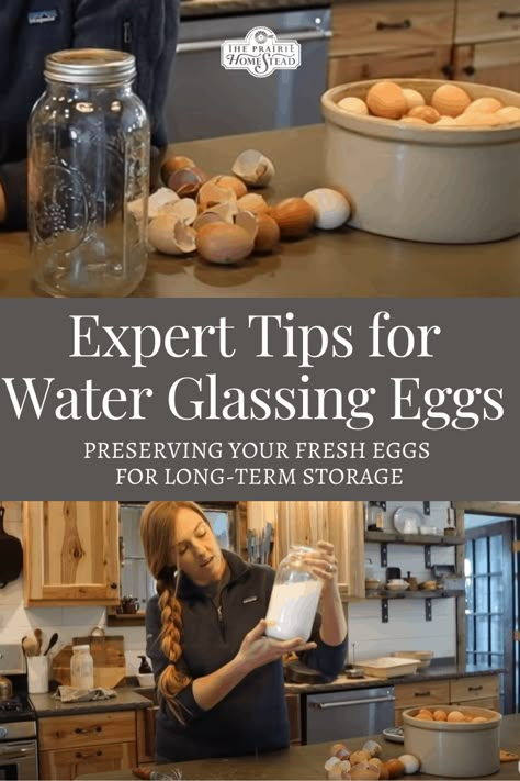 Water Glassing Eggs: How to Preserve Your Fresh Eggs for Long-Term Storage • The Prairie Homestead Canning Fresh Farm Eggs, Egg Storage Container, Water Canning Eggs, Water Glassing Store Bought Eggs, Egg Glassing Recipe, How To Glass Eggs, Long Term Egg Storage, Egg Preservation Food Storage, Eggs Storage Ideas