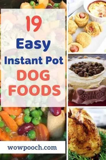 In addition  some dogs may suffer from food allergies that may include a reaction to one or more of the ingredients. Some dogs  such as poodles  are prone to having respiratory illnesses because of their tendency to snore or bark when it is time for their dinner. Instant Pot Dog Food Recipes, Cook Dog Food, Make Dog Food, Diy Dog Food, Dog Biscuits Homemade, Grain Free Dog Food, Dog Food Treats, Healthy Dog Treats Homemade, Healthy Dog Food