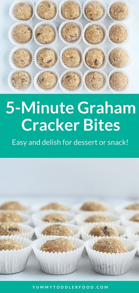 Graham Cracker Peanut Butter, Healthy Graham Crackers, Graham Cracker Snacks, Gf Graham Crackers, Cracker Bites, Graham Cracker Recipes, Healthy Crackers, Healthy Dessert Options, Peanut Butter Balls Recipe