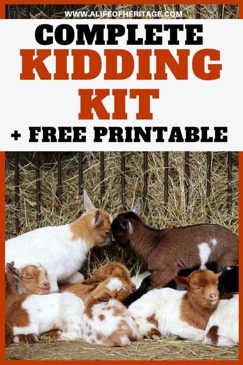 Kidding Kit: A Complete list for goat birth | A Life of Heritage Owning Goats, Goats For Milk, Goats For Beginners, Breeding Goats, Nubian Goats, Goat Health, Goat Breeds, Cowboy Lifestyle, Homesteading Animals