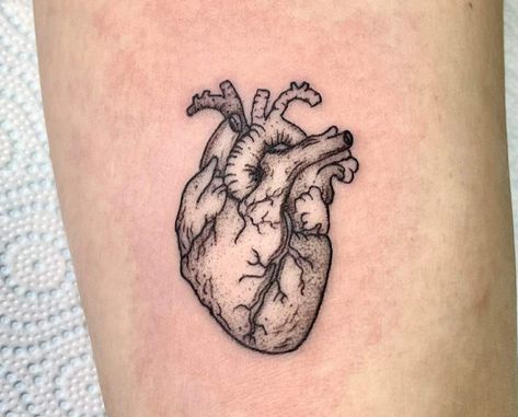 Real Heart Tattoos, Tattoo Between Breast, Dr Tattoo, Heart Outline Tattoo, Heart Tattoo Ideas, Yellow Rose Tattoos, Red Heart Tattoos, Anatomical Heart Tattoo, Tattoos Unique