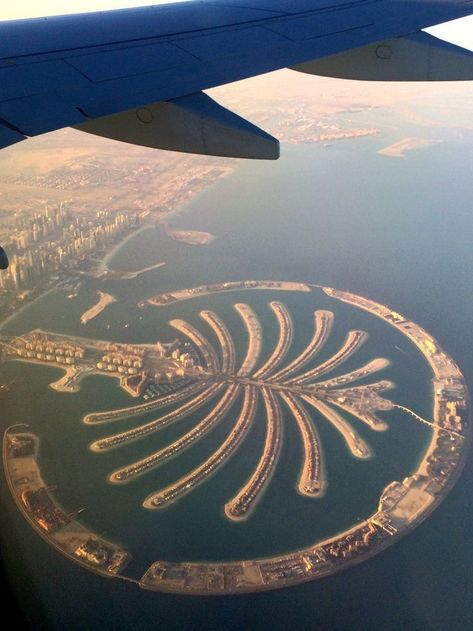 Uae Culture, Dubai Palm Jumeirah, Jets Privés De Luxe, Dubai Palm, Plant Fashion, Palm Jumeirah Dubai, Dubai 2023, Private Jet Plane, Architecture 101