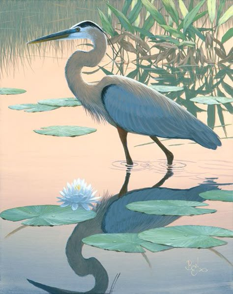 Evening Stroll (Giclee) Lake Animals, Heron Art, Florida Artist, Great Blue Heron, Wildlife Paintings, Herons, Blue Heron, Wildlife Art, Birds Painting