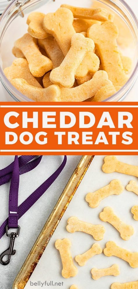 Birthday Treats For Dogs, Cheddar Dog Treats, Dog Cookie Recipes, Foods Dogs Can Eat, Pet Treats Recipes, Dog Treats Homemade Easy, Easy Dog Treat Recipes, Training A Puppy, Dog Biscuits Homemade