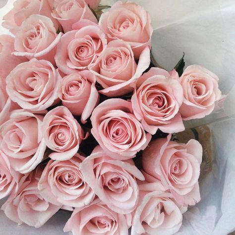 illicith: i l l i c i t h | AnaRosa | Bloglovin’                                                                                                                                                      More Tout Rose, Happy Tuesday, Makeup Fashion, Beautiful Blooms, Color Rosa, Plants Flowers, Love Flowers, My Flower, Beautiful Roses