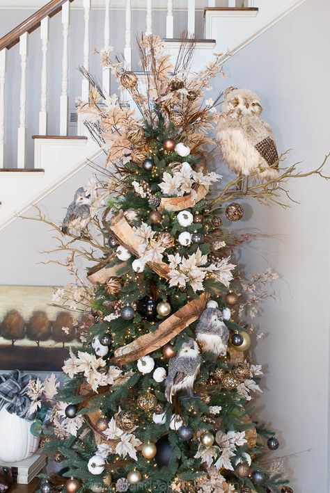 How To Take Your Christmas Tree Up a Notch - Home Decor and Home Improvement DIY Tutorials Woodsy Christmas Tree, Woodsy Christmas, Fall Christmas Tree, Christmas Tree Idea, Owl Christmas Tree, Home Improvement Diy, Enchanted Woodland, Christmas Woodland, Pumpkin Display