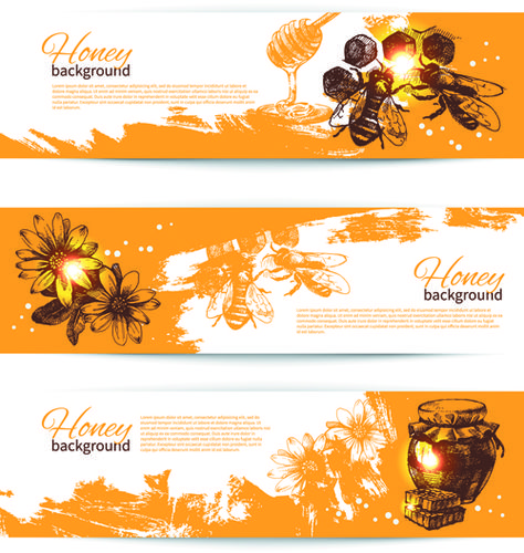 Honey Banner Design, Cartoon Honey Bee, Bee Free, Label Printing, Dm Design, Disneyland Halloween, Vector Banner, Bee On Flower, Website Banner