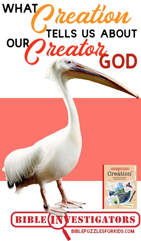 Kids need to know all about our Creator God. Discover what Creation tells us about God our Creator -- and take a look at a helpful resource! Homeschool Notebooking, Biblical Homeschooling, God The Creator, Creator God, Homeschool Advice, Bible Resources, Parenting Girls, Parenting Boys, Bible Study For Kids