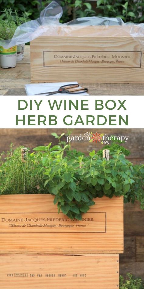 Box Herb Garden, Wine Box Garden, Wood Wine Box, Diy Herb Garden, Garden Therapy, Types Of Herbs, Wooden Wine Boxes, Wine Boxes, Vertical Herb Garden