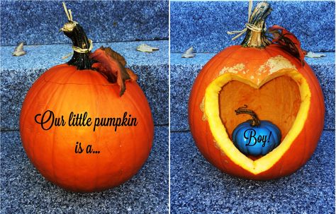 Fall/Pumpkin gender reveal! Fall Gender Reveal Party, Pumpkin Pregnancy Announcement, Pumpkin Gender Reveal, Surprise Pregnancy Announcement, Halloween Gender Reveal, Fall Pregnancy Announcement, Halloween Pregnancy Announcement, Creative Pregnancy Announcement, Baby Reveal Party