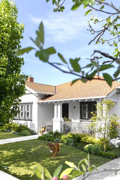 A Hamptons-Meets-"Cottage-y" Style California Bungalow Front Garden Ideas Australian, California Bungalow Australian, California Bungalow Exterior, Art Deco Maximalist, Australian Formal, 1950s Cottage, Parisian Cottage, Weatherboard Cottage, Australian Garden Design