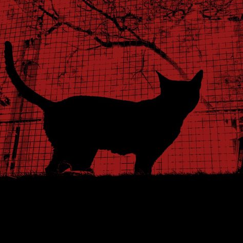 Red Aesthic Icon, Dark Red Icons Aesthetic Grunge, Black And Red Dark Aesthetic, Black And Red Widget Aesthetic, Black Cat Red Aesthetic, Red And Black Dark Aesthetic, Red And Black Aesthetic Grunge Wallpaper, Dark Red Black Aesthetic, Widget Red And Black