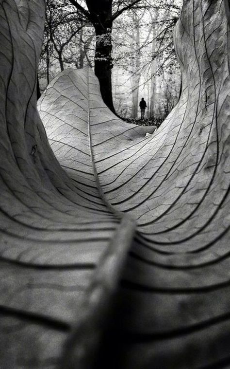 Examples Of Line In Photography, Creative Photography With Meaning, Outdoor Conceptual Photography, Black And White Lighting Photography, Unique Perspective Photography, Still Life Composition Photography, Proportion Photography, Abstract Photography Ideas, Depth Photography