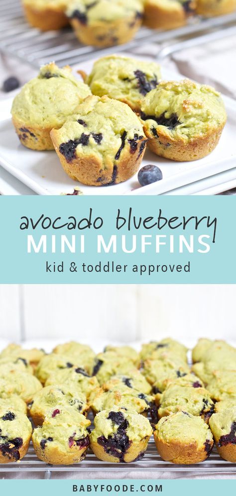 Toddler Mini Muffins, Blueberry Mini Muffins, Yum Snacks, Mini Blueberry Muffins, Toddler Muffins, Led Weaning Recipes, Toddler Food Ideas, Healthy Snacks To Buy, Healthy Toddler Snacks