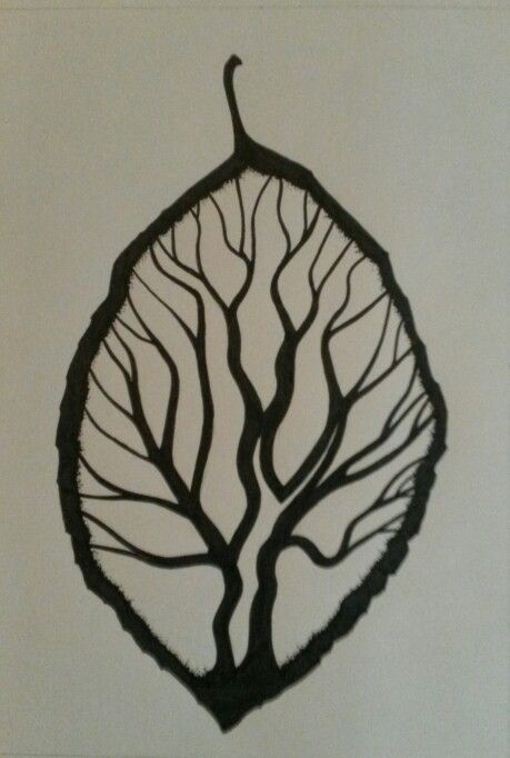 Tree within a beech leaf , Graphic pen study, by Stephen Kingham. Beech Tree Tattoo, Beech Leaf, Tribute Tattoo, Leaf Graphic, Tribute Tattoos, Leaf Tattoo, Tattoo Thoughts, Spring Window, Beech Tree