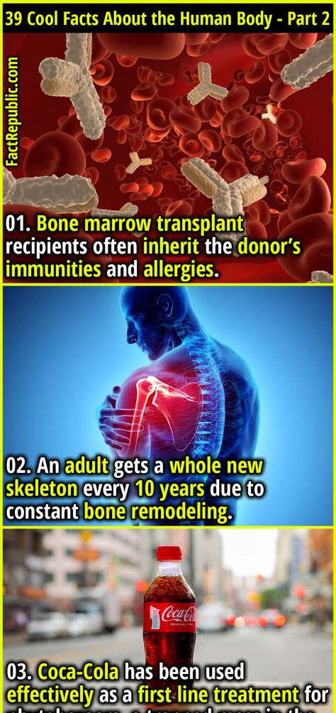 39 Cool Facts About the Human Body That’ll Just Blow Your Mind - Part 2 - Fact Republic Random Useless Facts, Interesting Facts About Humans, Animal Facts For Kids, Silly Facts, Science Facts Mind Blown, Disturbing Facts, Fun Facts Mind Blown, Curious People, Human Body Facts