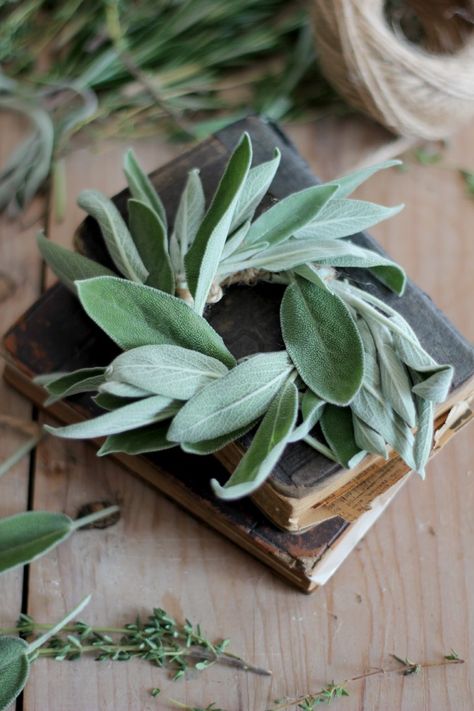 Sage Gift Ideas, Sage Wreath Diy, Sage Crafts, Herb Wreaths, Sage Wreath, Herb Wreath, Herb Garden Design, Herb Gardening, Natural Scents