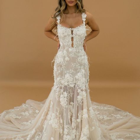 Dream wedding dresses ball gown