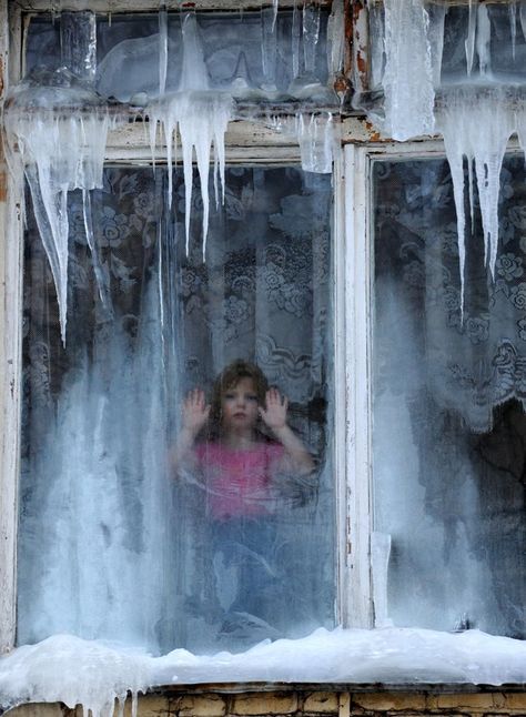 Winter Window, Looking Out The Window, Winter Magic, Window View, Winter Wonder, Through The Window, Through The Looking Glass, Winter Blues, Its Cold Outside