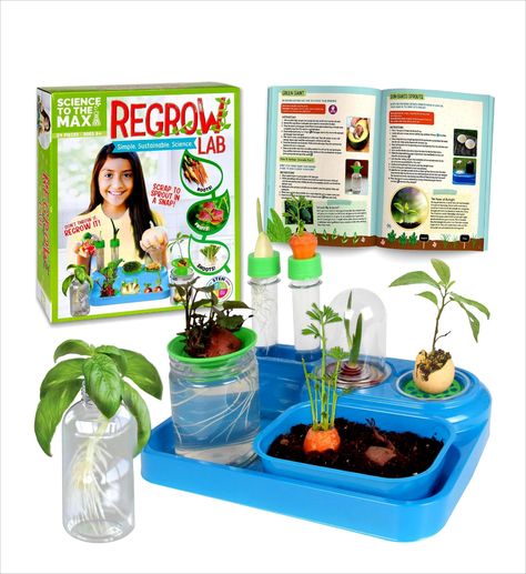 REGROW SCIENCE KIT EDUCATIONAL EXPERIMENTS Sunday Ootd, Science Kits For Kids, Explorers Activities, Wooden Tool Boxes, Diy Science, Kids Imagination, Class Room, Presents For Kids, Science Kits