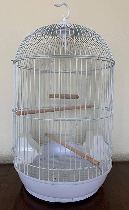 Amazon.com : Mcage Round Bird CAGE for Cockatiel Lovebird Finch Canary Aviary Budgie Parakeet (13" D x 25" H, White) : Birdcages : Pet Supplies Bird Cage Set Up Ideas, Aesthetic Bird Cage, Canary Aviary, Cute Bird Cage, Mad Scientist Laboratory, Scientist Laboratory, Canary Cage, Budgie Cage, Round Bird