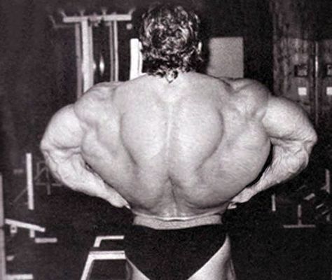 We Go Jim, Old Bodybuilder, Best Bodybuilder, Arnold Schwarzenegger Bodybuilding, Aesthetics Bodybuilding, Schwarzenegger Bodybuilding, Dorian Yates, Bodybuilding Pictures, Gym Wallpaper