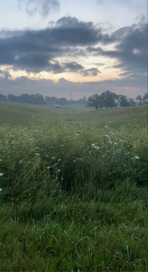 Dewy Morning Aesthetic, Dewy Aesthetic, Spring Morning Aesthetic, Meadow Aesthetic, Dewy Morning, Meadow Background, Place Wallpaper, Environment References, Cloud Photography