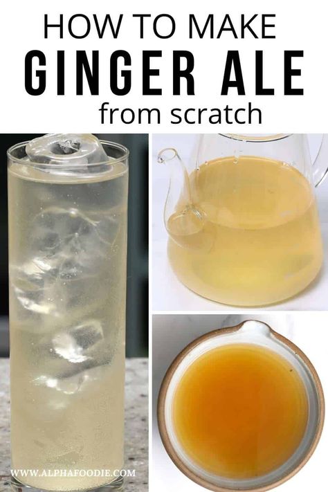 Minced Ginger Recipes, Cranberry Ginger Ale, Ginger Ale Recipe, Homemade Ginger Ale, Ginger Recipe, Ale Recipe, Kombucha Recipe, Homemade Soda, Fermentation Recipes