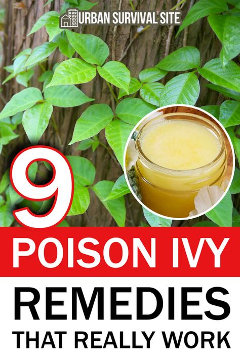 Poison Sumac Rash, Poison Oak Remedies, Poison Oak Rash, Home Remedies For Rashes, Kids Survival Skills, Poison Ivy Plants, Poison Sumac, Poison Ivy Remedies, Poison Plants