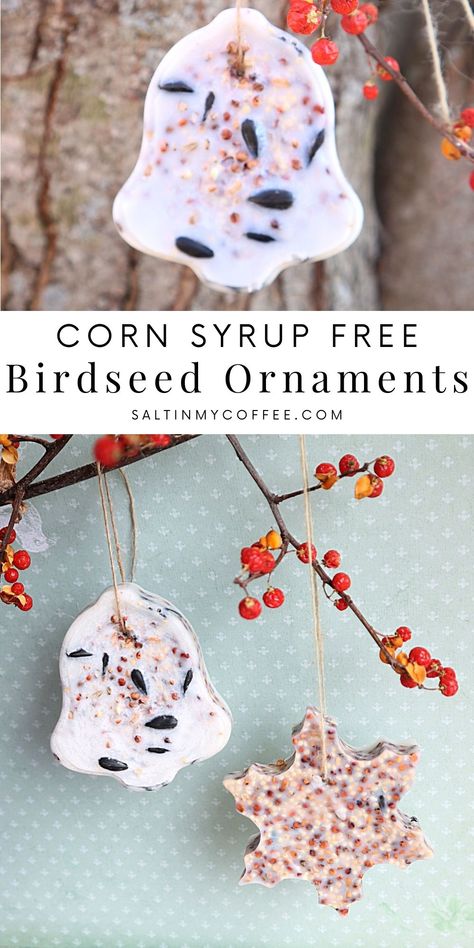 Christmas Bird Seed Craft, Bird Seed Crafts For Kids Easy Diy, Bird Feed Christmas Ornaments, Diy Birdseed Wreath, Diy Birdseed Feeder, Birdseed Crafts For Kids, Heart Shaped Bird Seed Feeder, Edible Ornaments For Animals, Christmas Bird Seed Ornaments