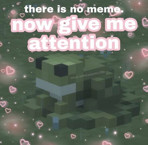 Wholesome Comfort Pics, Give Me Attention Wholesome, Give Me Attention Cute, I Need Attention Reaction Pic, I Want Attention Reaction Pic, Attention Reaction Pic, Give Me Attention Reaction Pic, Minecraft Pickup Lines, Attention Meme