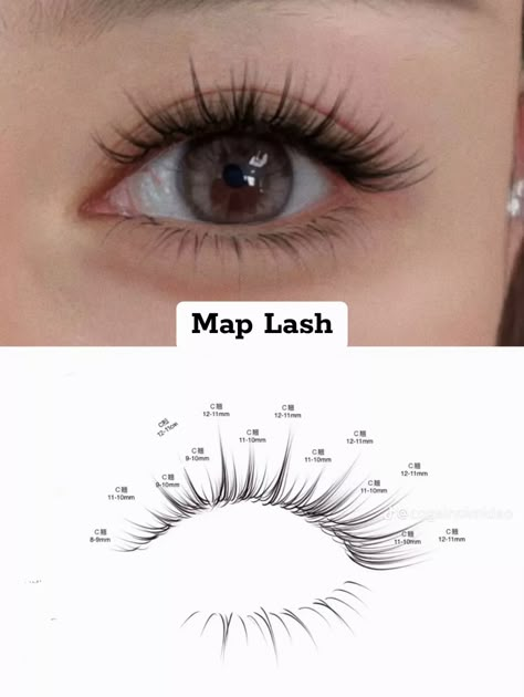 Wispy Lash Mapping Eyelash Extensions, Asian Eyelash Extensions Mapping, Light Wispy Eyelash Extensions Mapping, Lash Extensions Mapping Styles Natural, Manhua Lash Map, Manga Lash Extension Map, 4d Lash Extensions, Manga Lash Map, Anime Lash Map