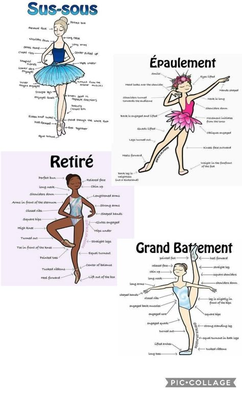 Ballet Dance Moves Names, Dance Terms, Ballet Terminology, Ballet Terms, Ballet Steps, Ballet Basics, World Ballet Day, Ballet Tips, Beginner Ballet