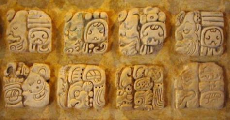 Linguists Are Finally Unravelling the Mysteries Trapped Within #Mayan #Hieroglyphs Mayan Glyphs, Mayan Civilization, Ancient America, Ancient Mexico, Ancient Scripts, Maya Civilization, Maya Art, Mayan Art, Ancient Maya