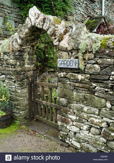 Download this stock image: Old slate drystone stone wall with archway over wooden gate into garden - EB2590 from Alamy's library of millions of high resolution stock photos, illustrations and vectors. Stone Garden Wall, Stone Walls Garden, Stone Archway, Stone Fence, Wooden Gate, Garden Walls, Dry Stone Wall, Steins Gate, Stone Masonry