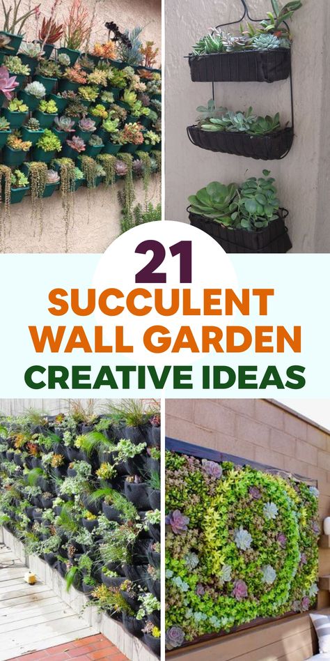 Enhance your outdoor area with innovative succulent wall garden concepts that introduce a splash of greenery and elegance to your walls. Whether through vertical planters or suspended arrangements, uncover distinctive methods to display these easy-to-care-for plants in your outdoor retreat. Convert any dull wall into a living masterpiece with chic and efficient succulent garden layouts that infuse a contemporary, natural feel into your exterior space. Wall Garden Ideas, Vertical Garden Wall Planter, Diy Wall Planter, Succulent Wall Garden, Succulent Wall Planter, Hanging Plants Outdoor, 4h Projects, Vertical Succulent Gardens, Small Patio Design