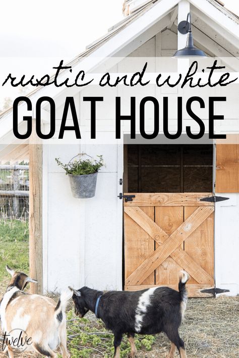 Check out this amazing simple and stylish white and rustic goat house! Looking for goat shed ideas? Goat Shed Ideas, Goat Playground, Goat Shed, Goat Shelter, Goat Pen, Small Goat, Goat House, Small Backyard Design Ideas, Goat Care