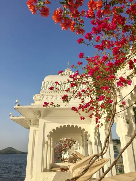 Pastel Desi Aesthetic, Taj Lake Palace Udaipur Photography, Indian Travel Aesthetic, Indian Palace Aesthetic, Indian Architecture Aesthetic, Aesthetic Udaipur, Udaipur Aesthetic, Rajasthan Aesthetic, Udaipur Photography