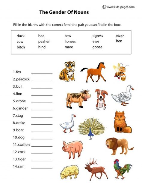 lots of work sheets Gender Worksheet, Gender Worksheet Grade 4, Gender In English, English Grammar For Kids, Nouns Worksheet, Animal Adaptations, Grammar For Kids, Animal Worksheets, Learning English For Kids