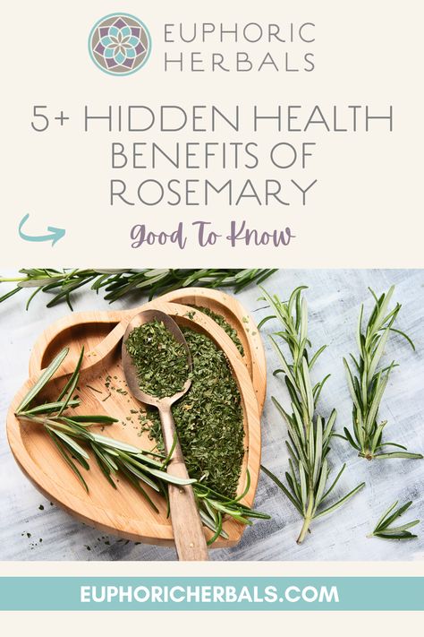 Rosemary is an herb you might think about adding to your cooking recipes, but it also has quite a few hidden health benefits. This is a plant that has been revered for thousands of years to flavor and preserve food as well as for medicinal use.