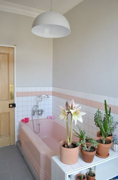 Here is an idea to make your pink bathroom tile feel more like it was part of your plan and not something you had to make-do with. Pink Vintage Bathroom, Pink Tile Bathroom, Pink Bathroom Tiles, Pink Bathtub, Pink Bathrooms, Pink Tub, Vintage Bathroom Tile, Pink Tile, Victorian Townhouse