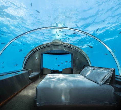 Underwater Hotel Room, Maldives Underwater, Underwater Bedroom, Conrad Maldives, جزر المالديف, Underwater Room, Underwater Hotel, Aquarium Architecture, Maldives Resorts