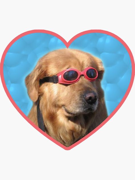 "Doggo Stickers: Swimmer Dog" Sticker by Elisecv | Redbubble Stickers Cool, Funny Dog Memes, Stickers For Sale, Dog Stickers, Dog Memes, Aesthetic Stickers, Training Your Dog, 귀여운 동물, Dog Friends