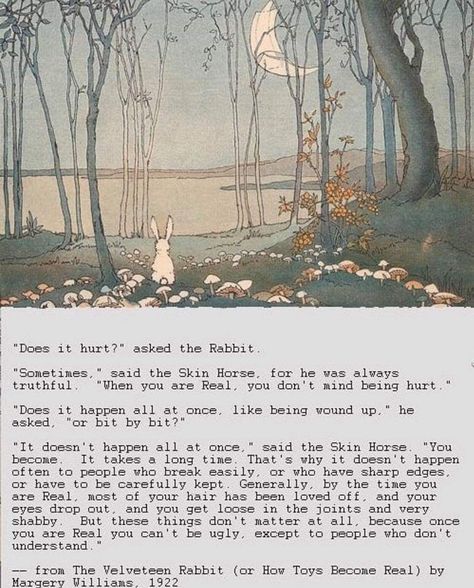 The Velveteen Rabbit, Velveteen Rabbit, Spiritual Healing, Poetry Quotes, Pretty Words, Beautiful Quotes, Beautiful Words, Book Quotes, The Well