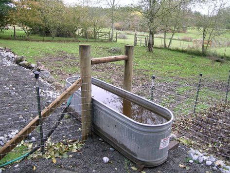 Horse Feeder and Waterer Options for Every Barn – The Horse Horse Feeder, Horse Farm Ideas, Farm Hacks, Horse Barn Ideas Stables, Barn Hacks, Horse Water, Raising Farm Animals, Horse Barn Designs, Paddock Paradise