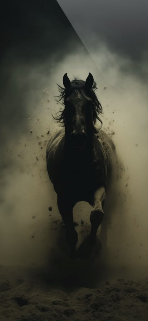 Black Stallion Horse Wallpaper, Horse Wallpaper Iphone Backgrounds, Black Horse Wallpaper Iphone, Horses Wallpaper Iphone, Dark Horse Wallpaper, Rocker Wallpaper, Dark Horse Aesthetic, Horse Wallpaper Aesthetic, Black Horse Aesthetic