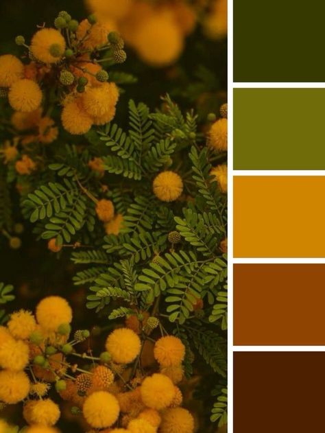 Apartment Astetic, Color Palette With Green, Saturated Color Palette, Palette Green, Yellow Palette, Orange Color Palettes, Color Design Inspiration, Color Palette Yellow, Brown Color Palette