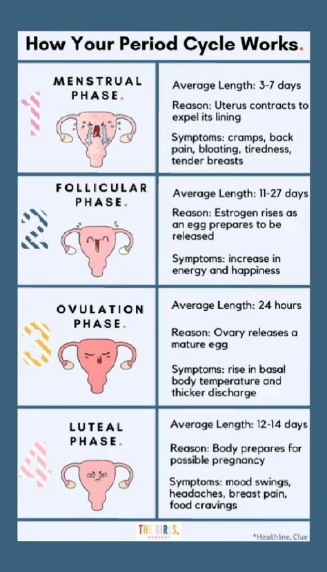 The Ultimate Guide to Lip Care for Women: Tips for Healthy and Beautiful Lips 2024 - Fashion Tips Tricks Period Cramps Relief, Period Cramp, Period Cramp Relief, Cramp Relief, Period Cycle, Healthy Period, Period Hacks, Biology Facts, Cramps Relief