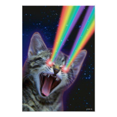 Rainbow Laser Cat Poster #rainbow # art #posters Laser Eyes, Bob Marley Pictures, Cat Laser, Laser Eye, Kitten Photos, Art Gift Ideas, Cat Paintings, Birthday Art, Cat Poster