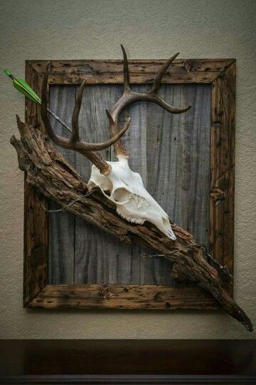 Deer Mount Ideas, Antler Ideas, Deer Antler Decor, Deer Heads, European Mount, Antlers Decor, Antler Crafts, Deer Mounts, Ultimate Man Cave